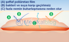Suprasorb F Film Su Geçirmez Yara Pansuman Örtüsü Dövme Koruyucu 10cm-10mt